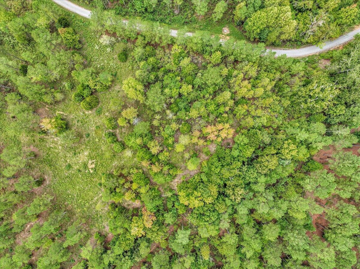 17 Armstrong Ferry Road