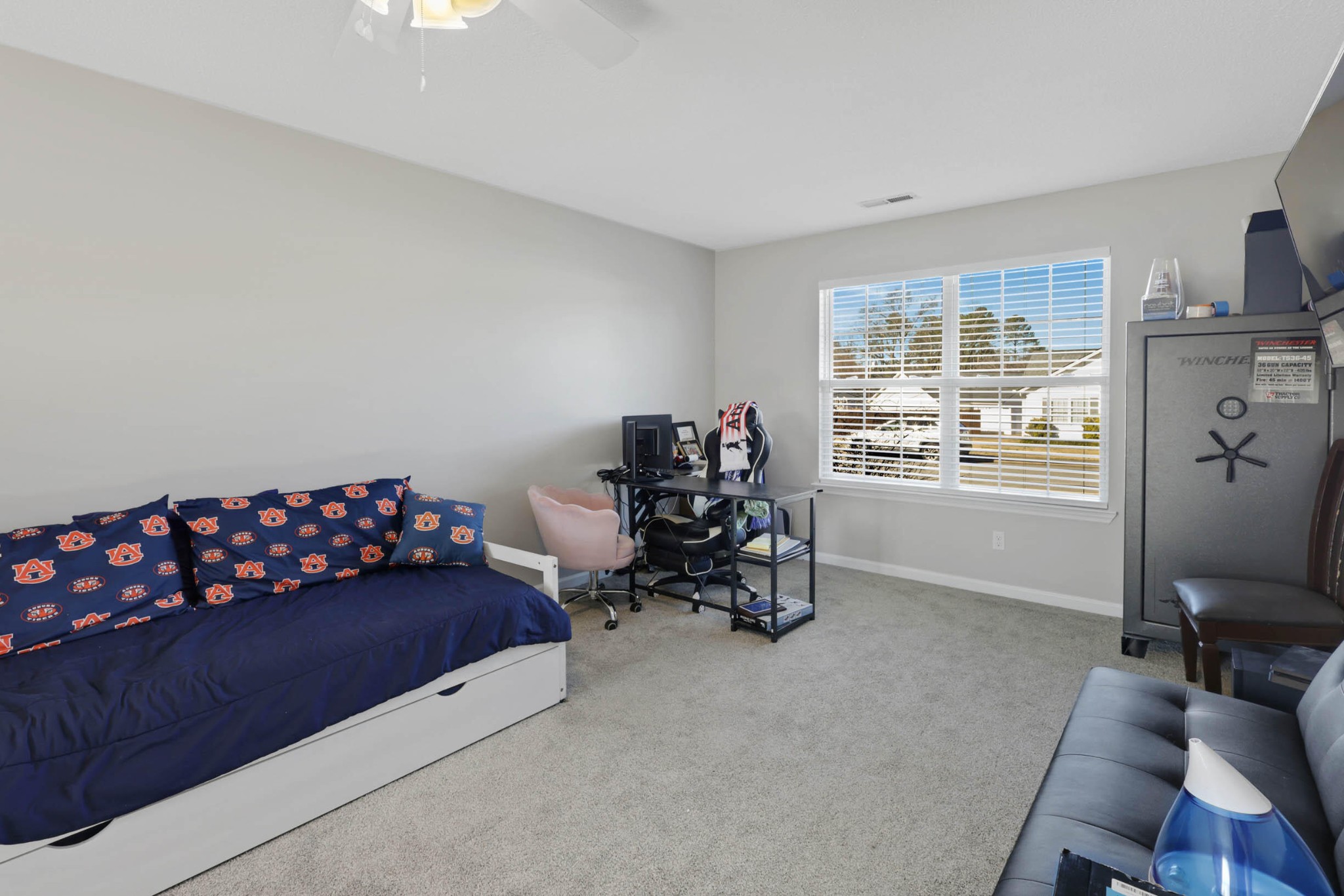 47 Spring Place Drive