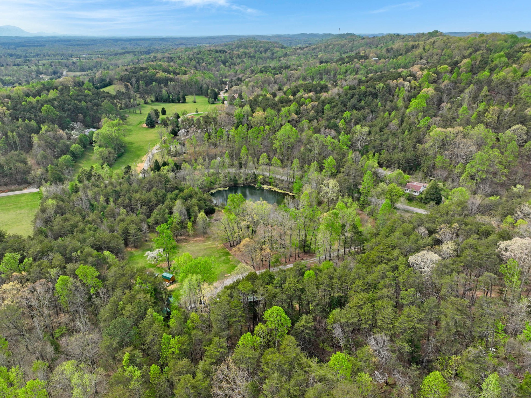 905 County Road 655