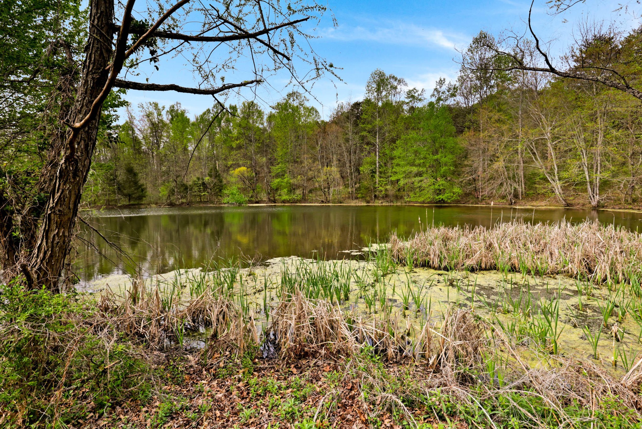 905 County Road 655
