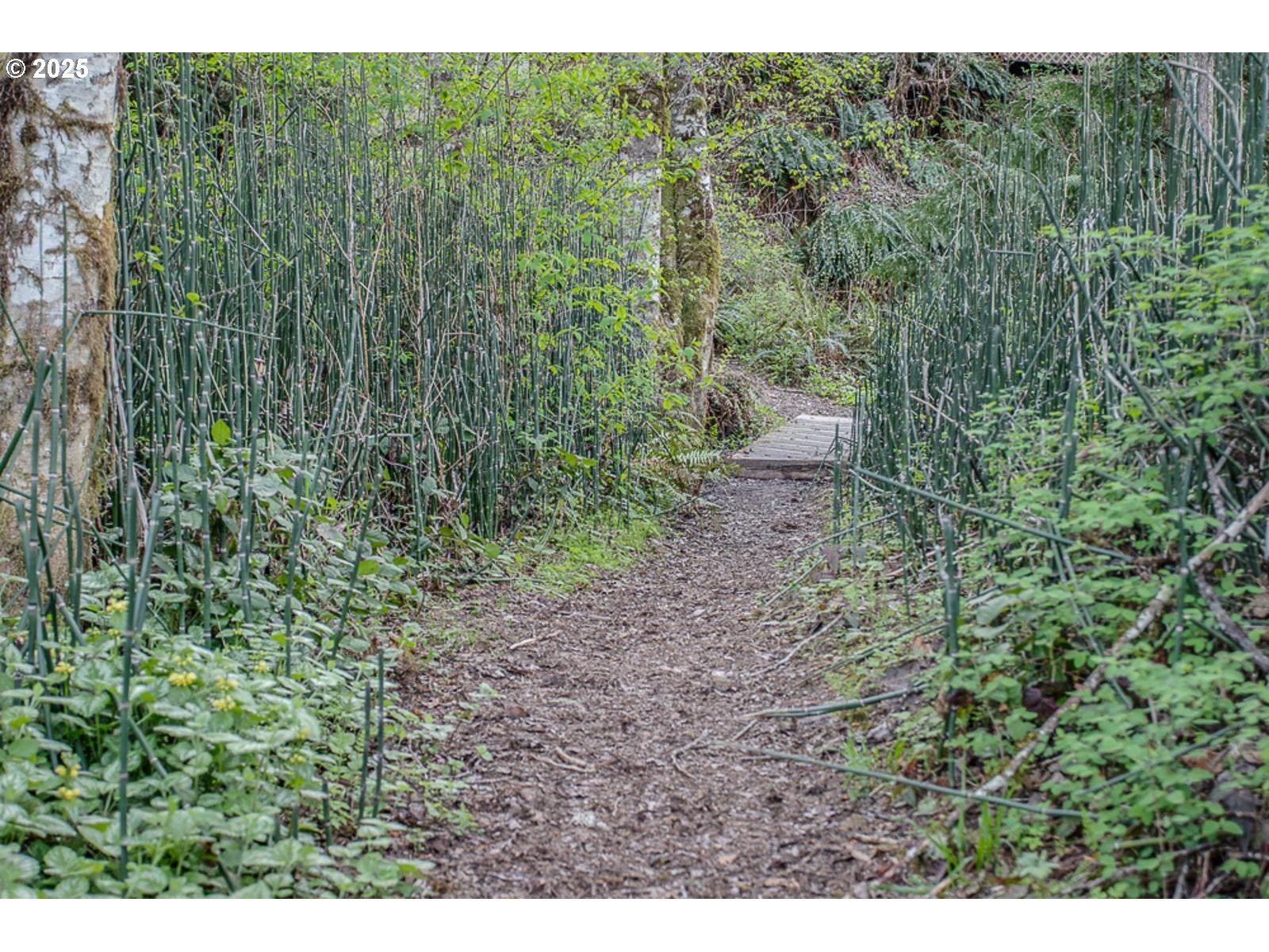 65418 E SANDY RIVER LN