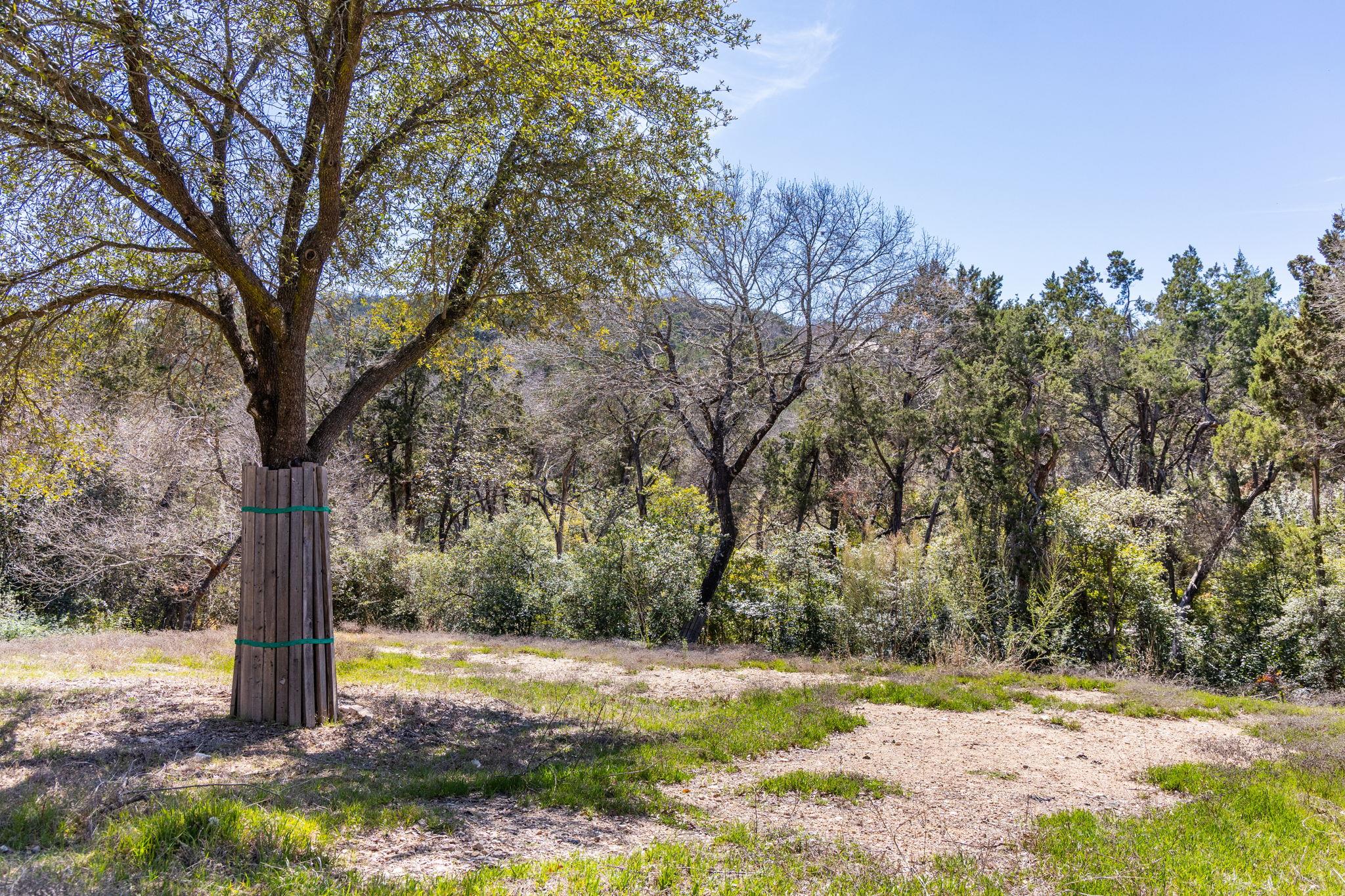 902 Yaupon Valley RD