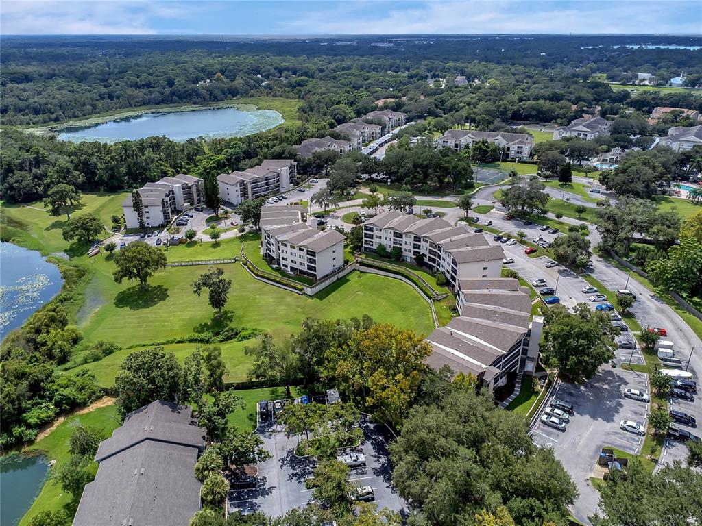 1064 Lotus Pkwy #944