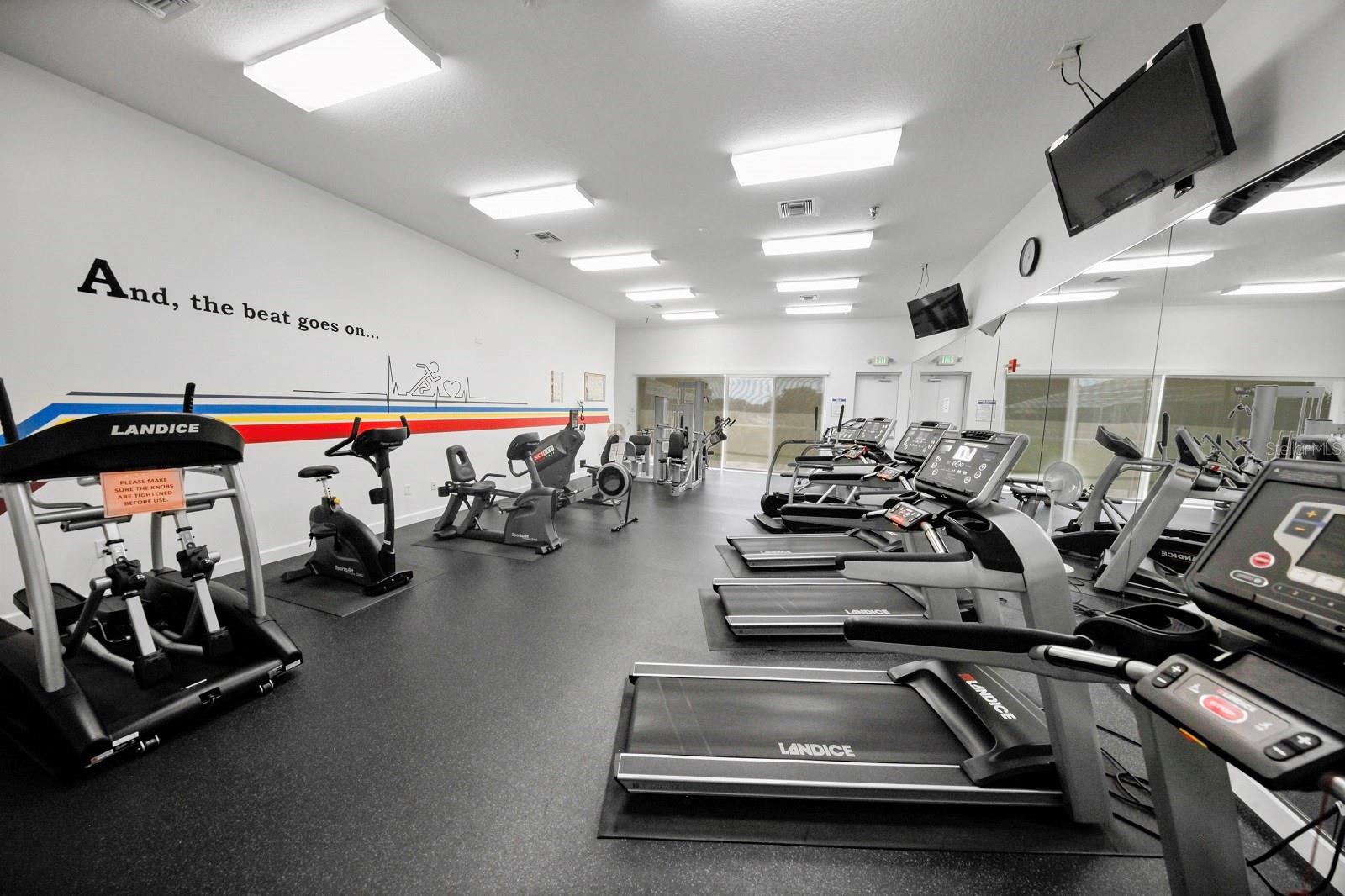 3600 Tropical Seas Loop 