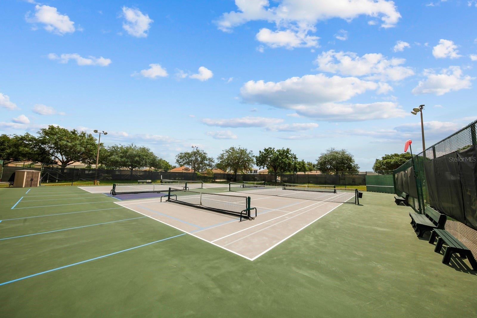 3600 Tropical Seas Loop 