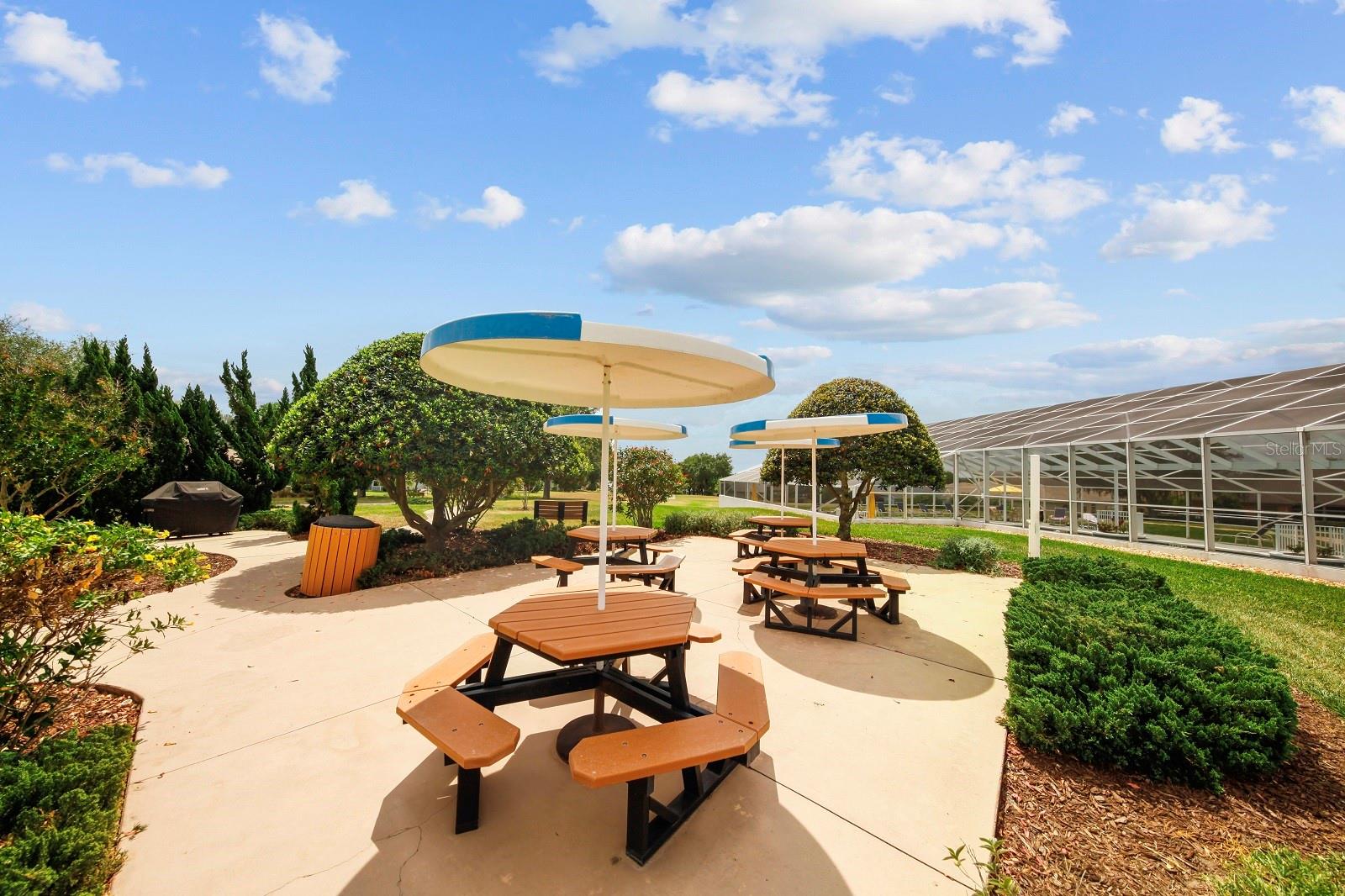 3600 Tropical Seas Loop 