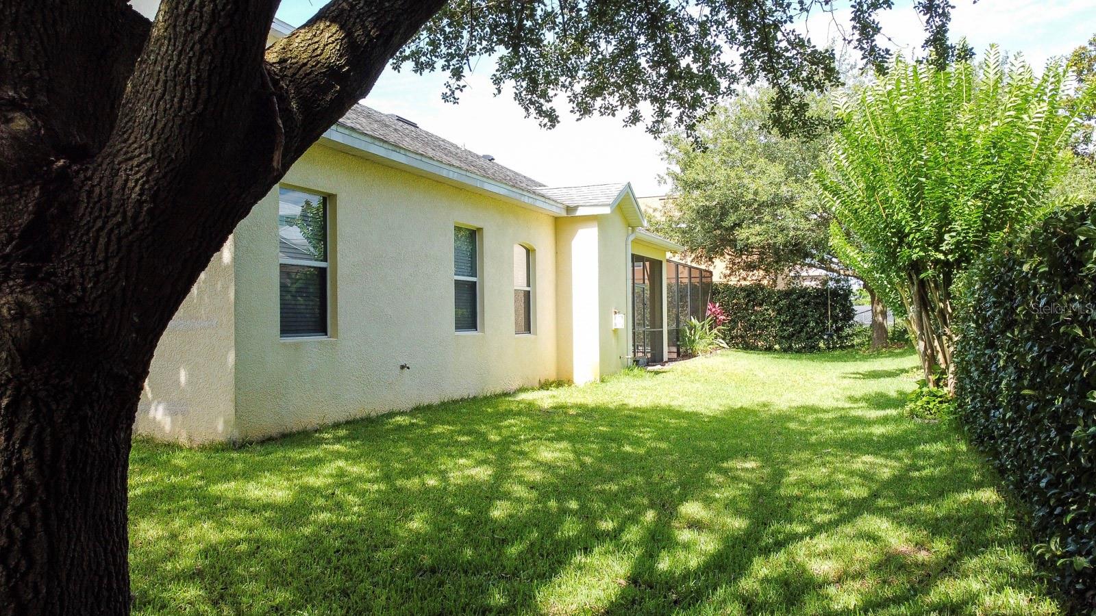 12238 Still Meadow Dr 