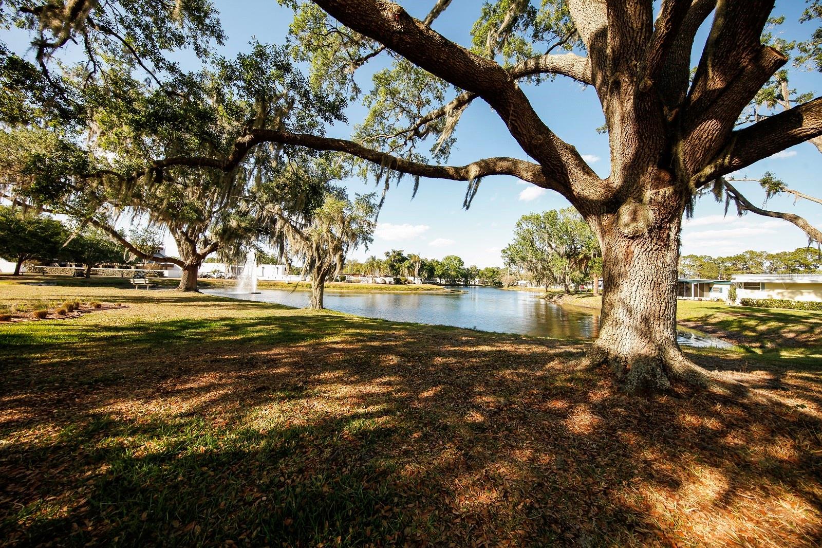 157 Bougainvillea Dr 