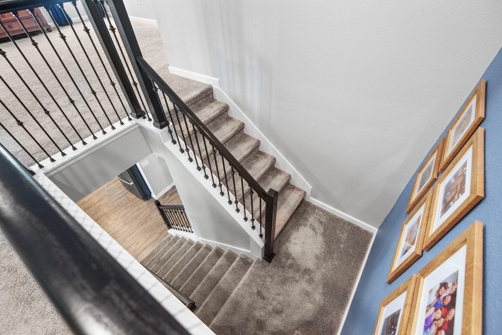 3436 Shallow Cove Ln 