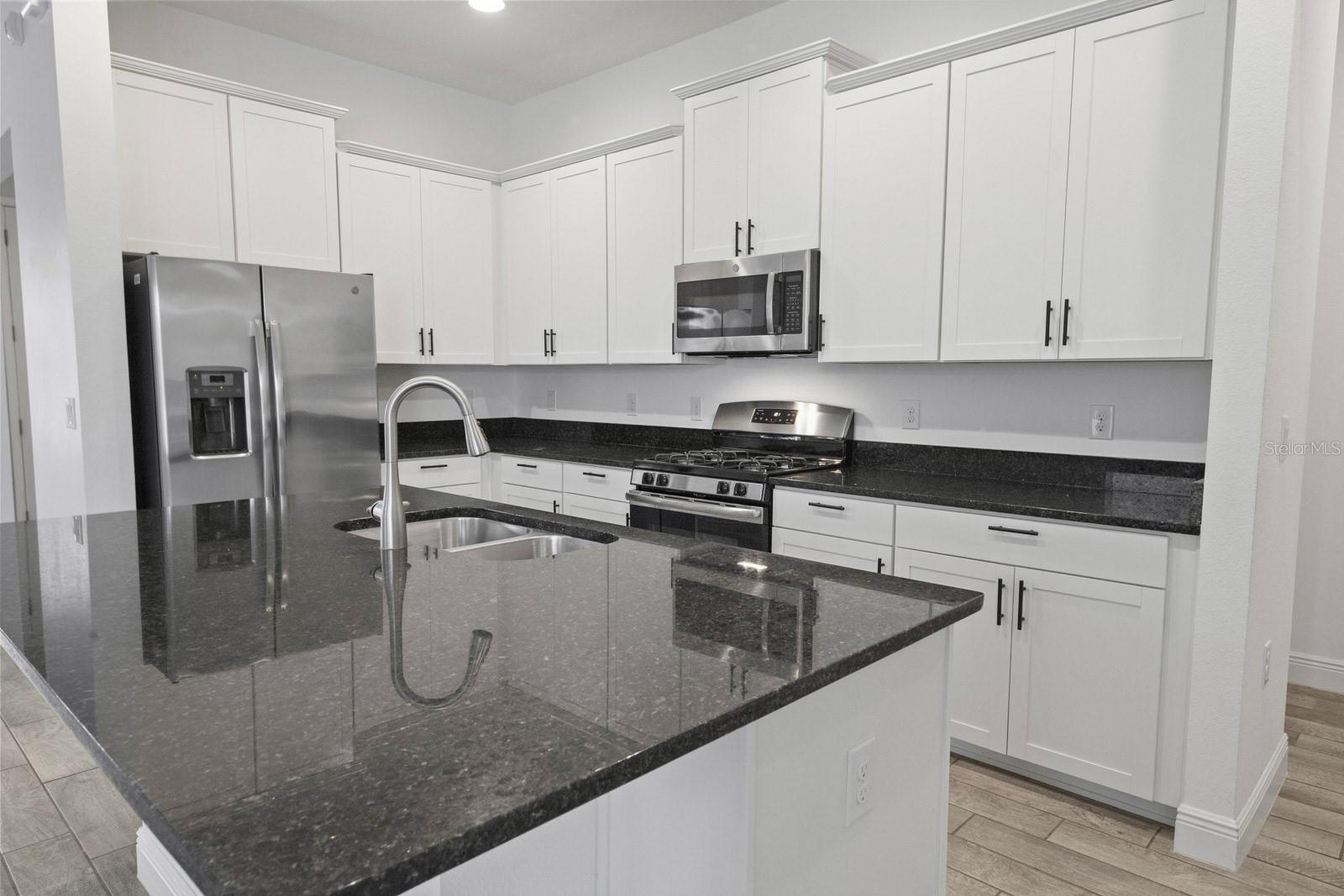 15813 Sweet Lemon Way 