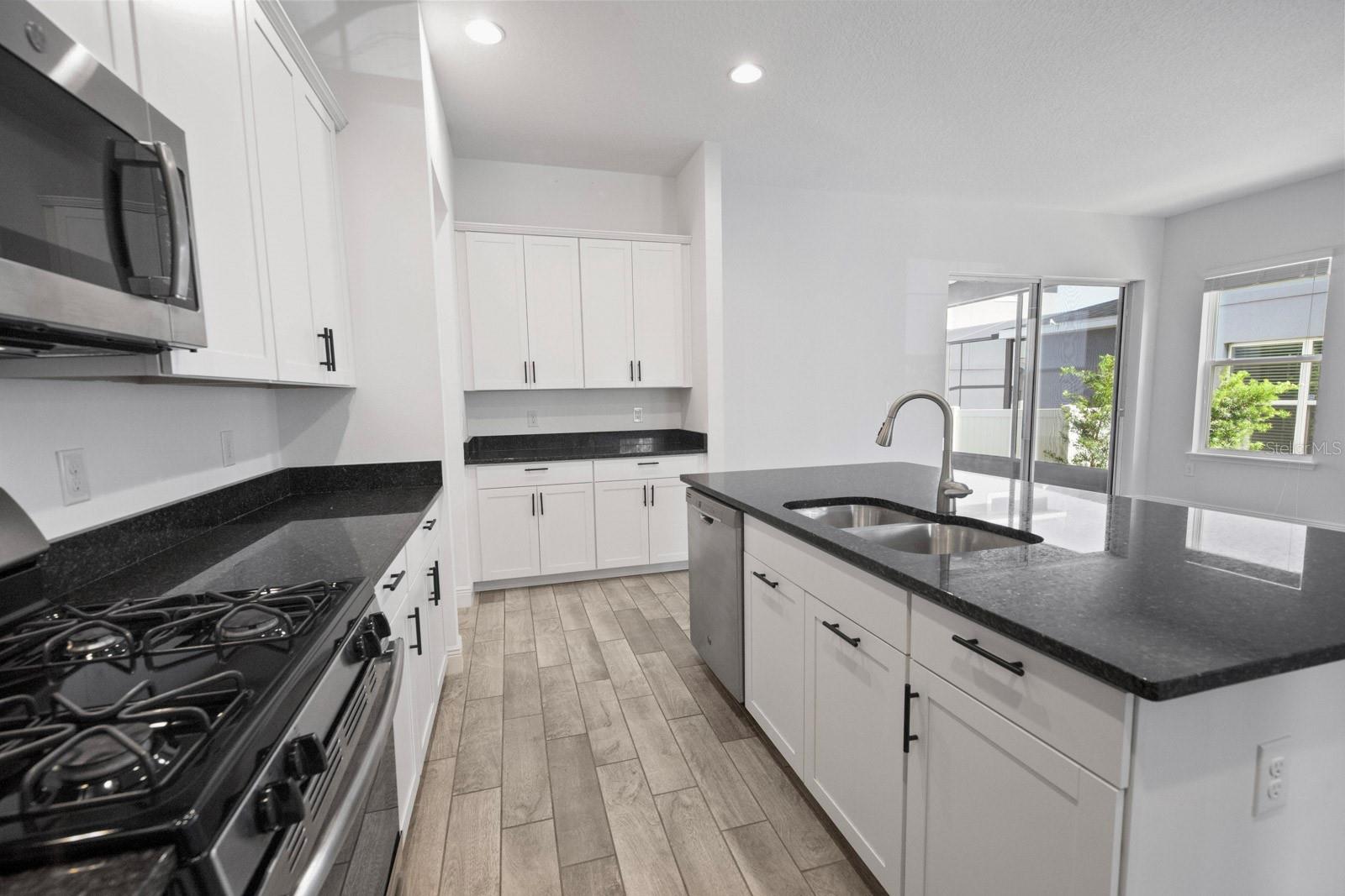 15813 Sweet Lemon Way 