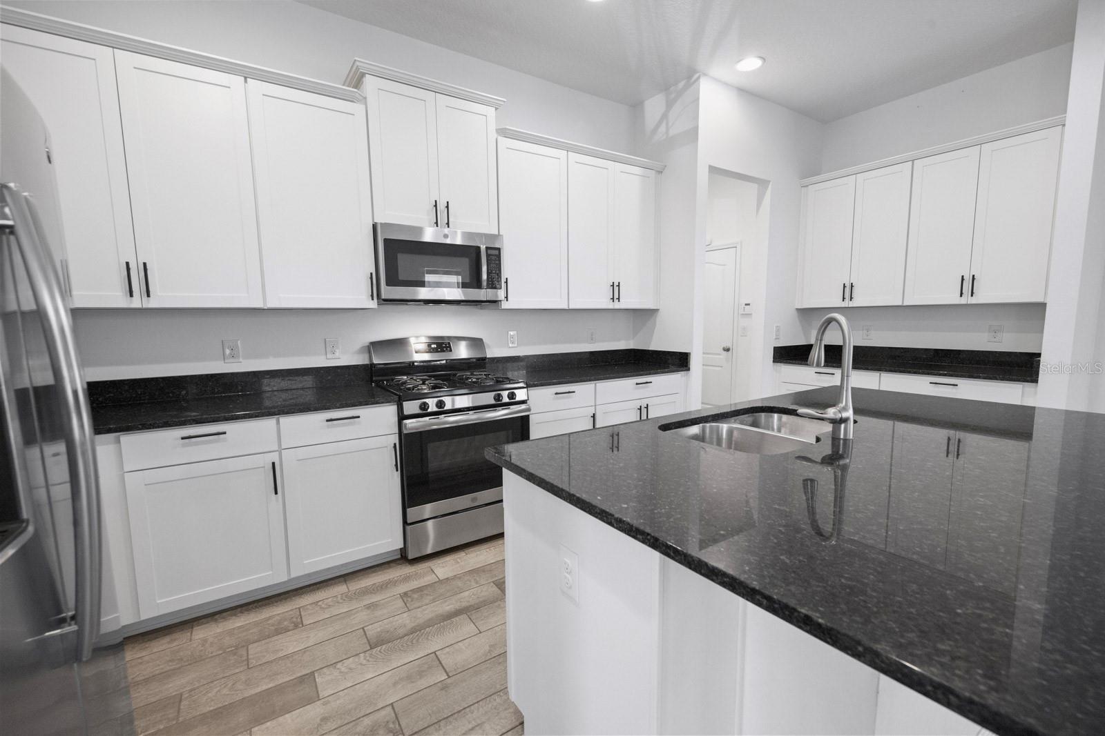 15813 Sweet Lemon Way 