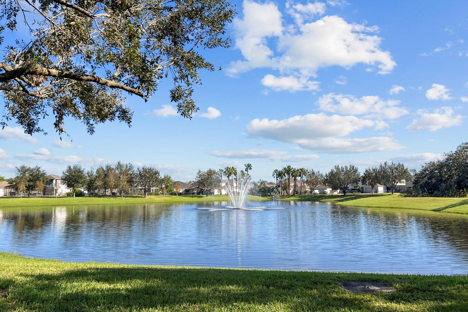 15813 Sweet Lemon Way 