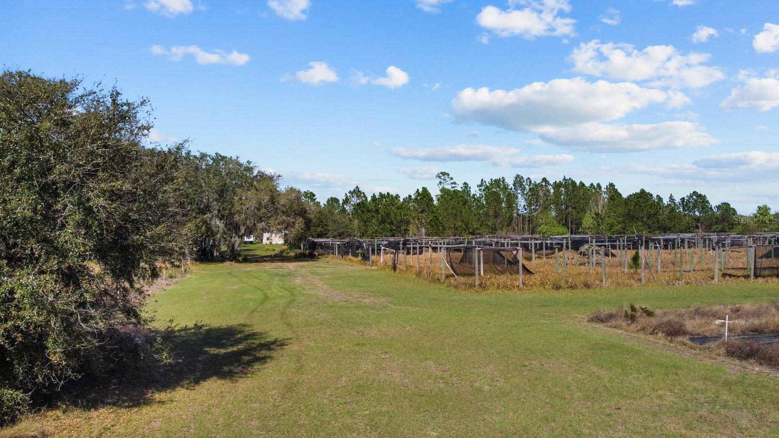 8122 Pine Island Rd 