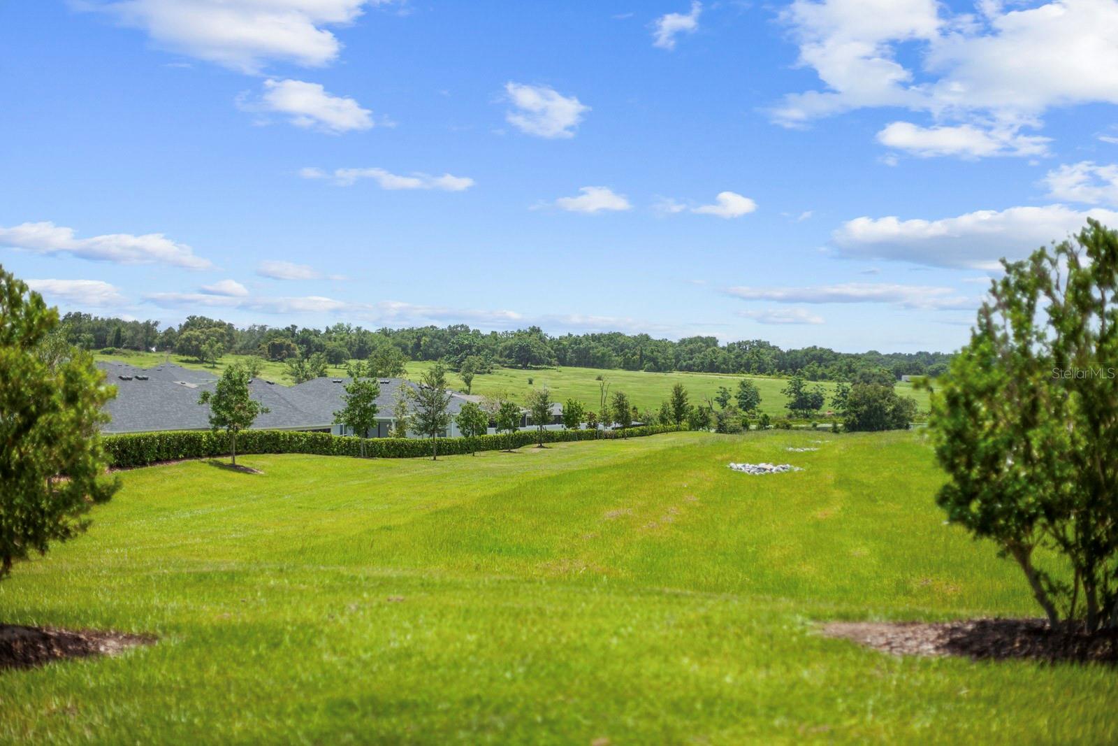 1688 Littleleaf Boxwood Loop