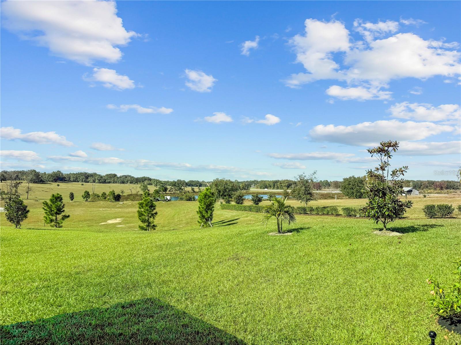 1688 Littleleaf Boxwood Loop