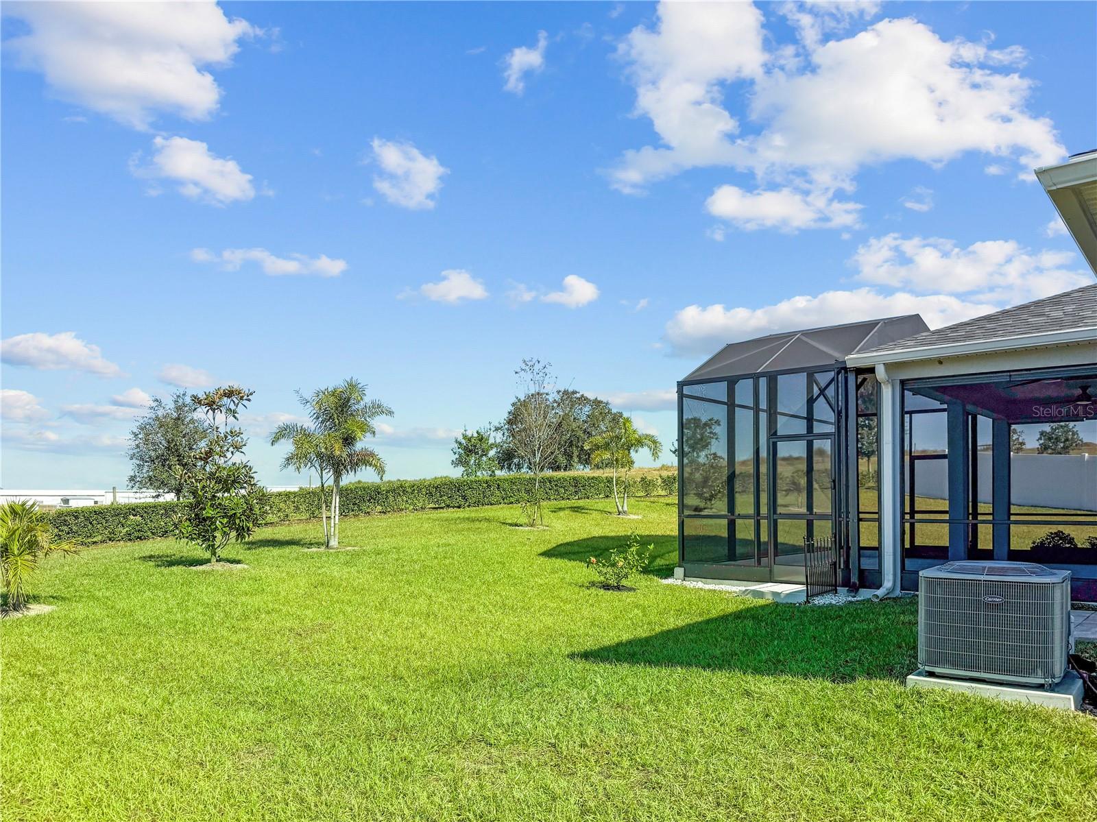 1688 LITTLELEAF BOXWOOD LOOP