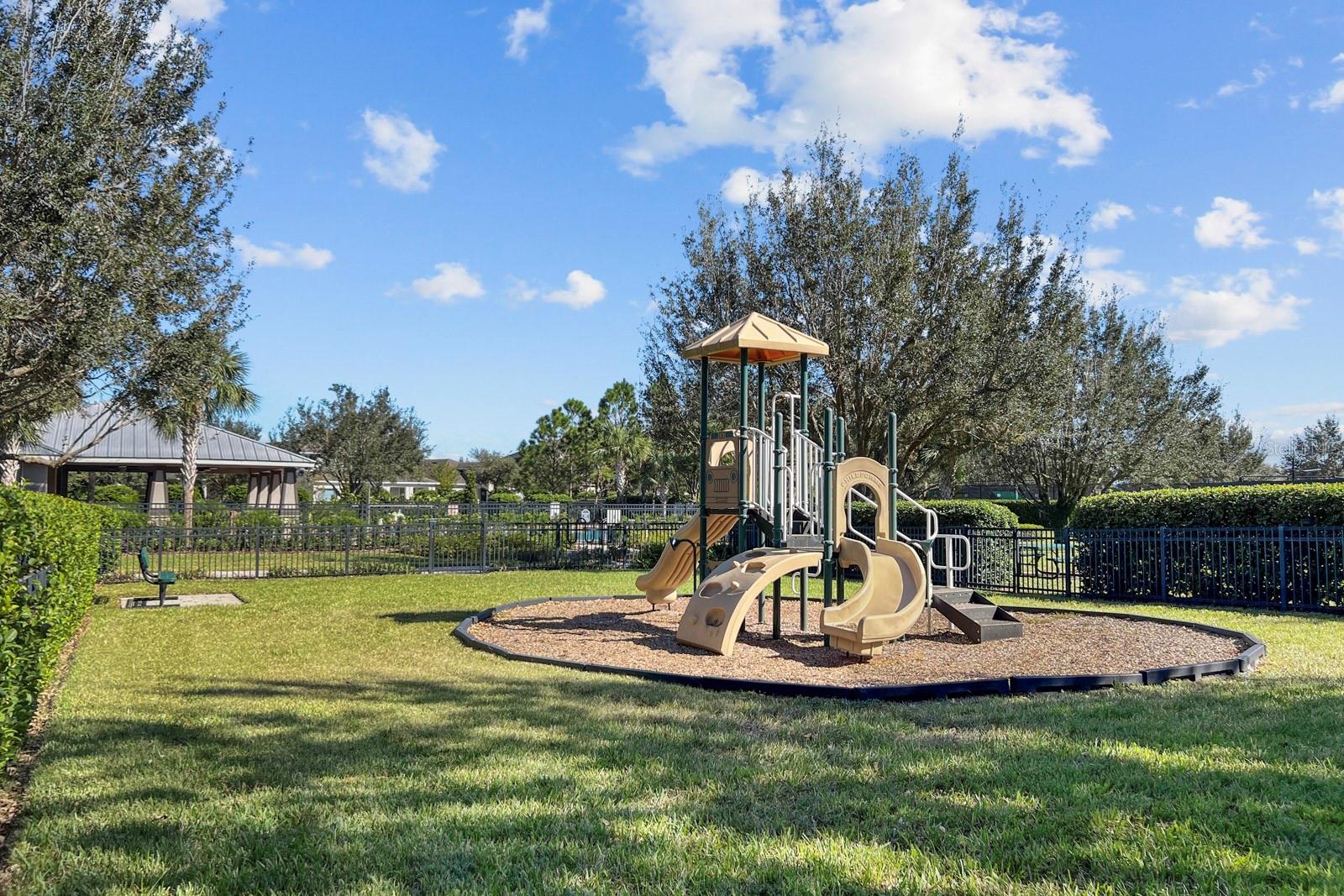 15813 Sweet Lemon Way