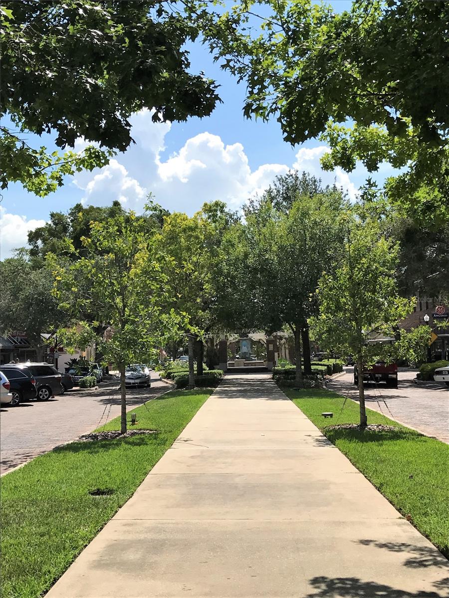 15813 Sweet Lemon Way