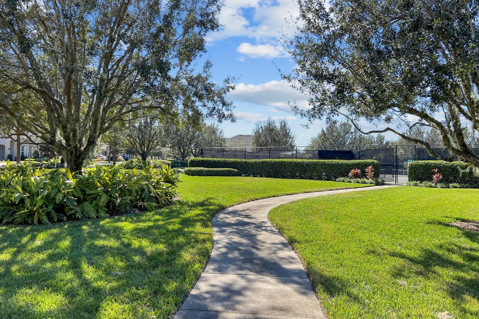 15813 Sweet Lemon Way