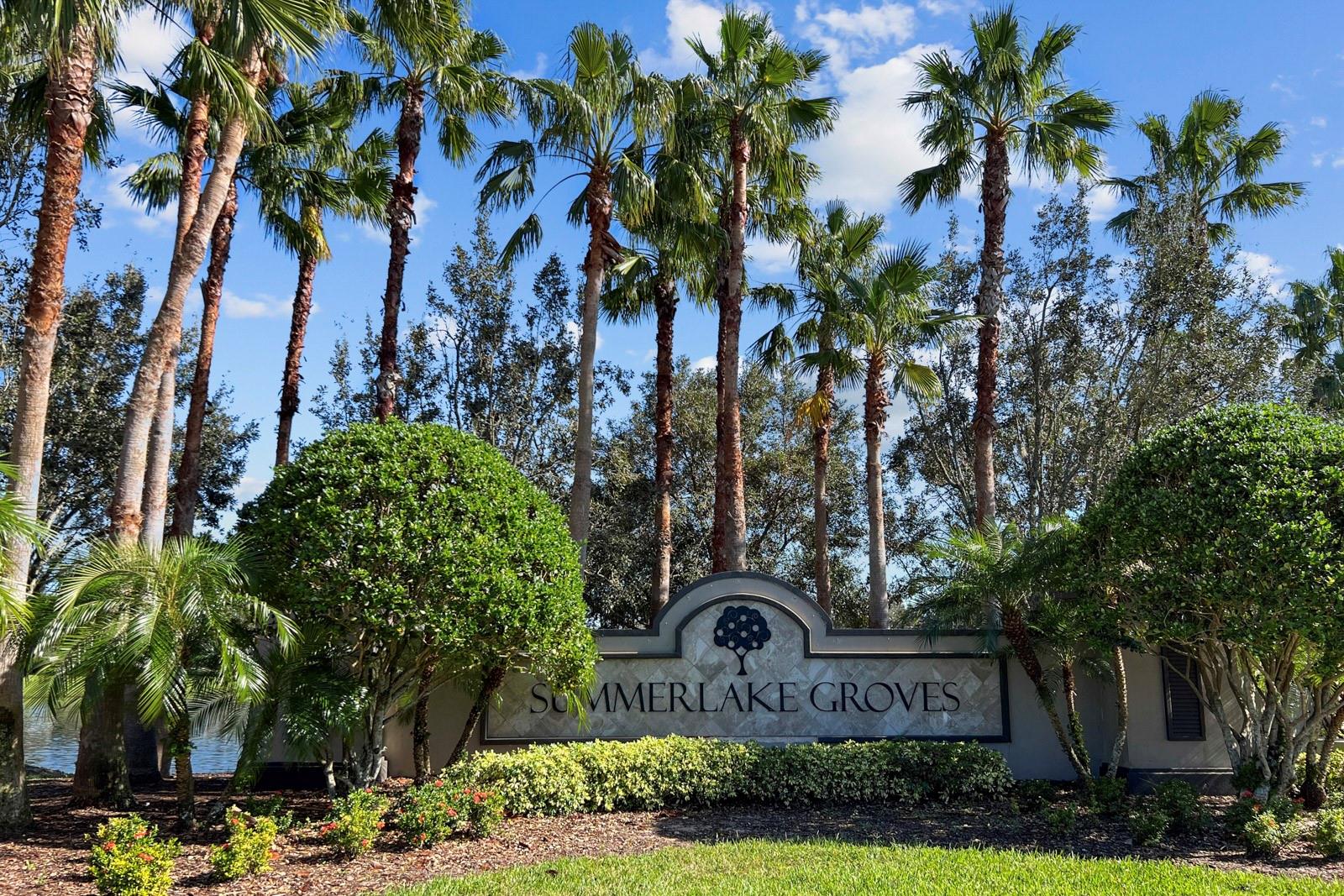 15813 Sweet Lemon Way