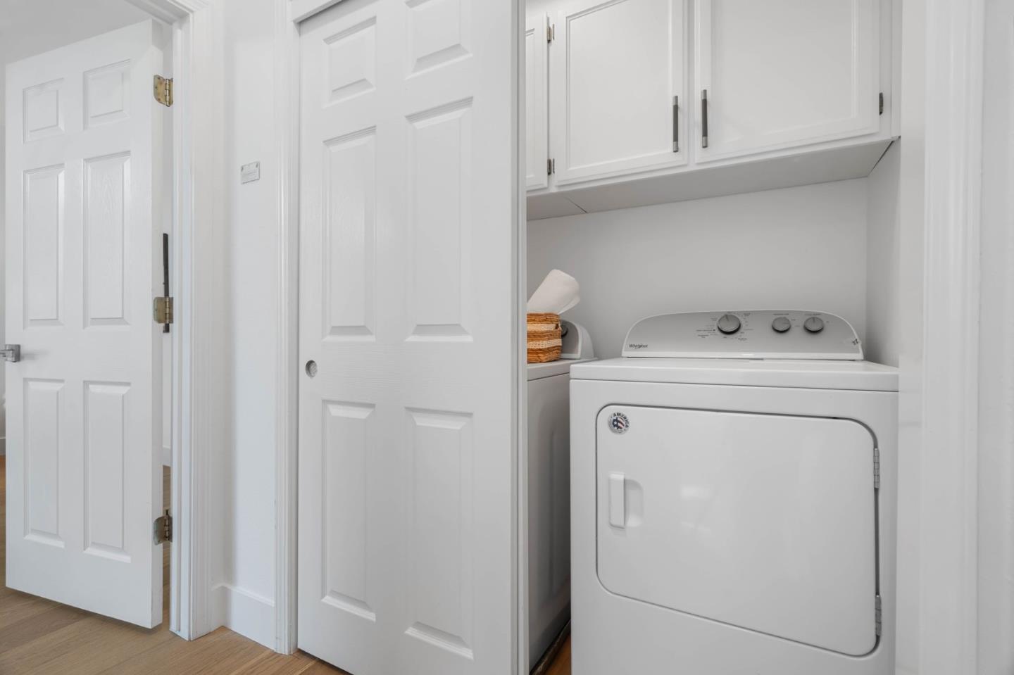 979 Pinto Palm TER 30