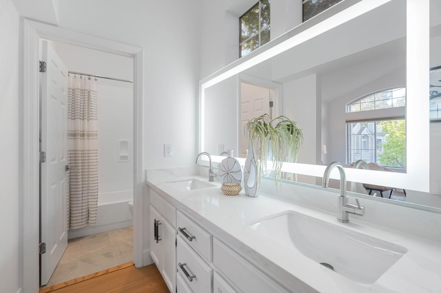 979 Pinto Palm TER 30