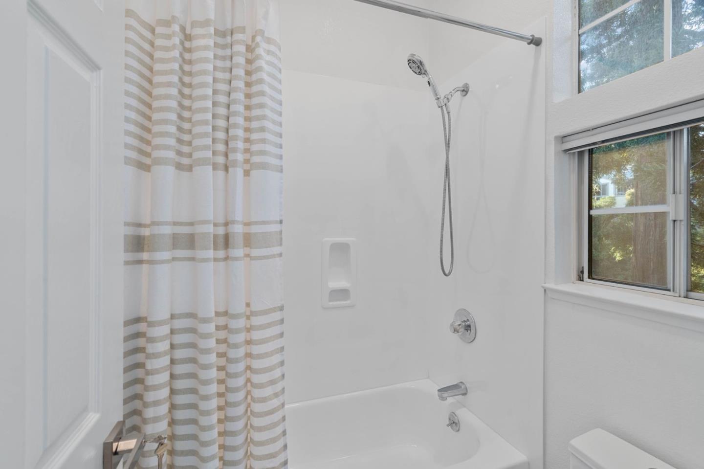 979 Pinto Palm TER 30