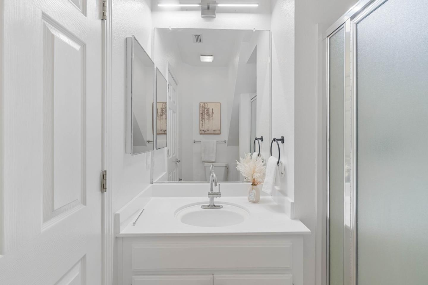 979 Pinto Palm TER 30