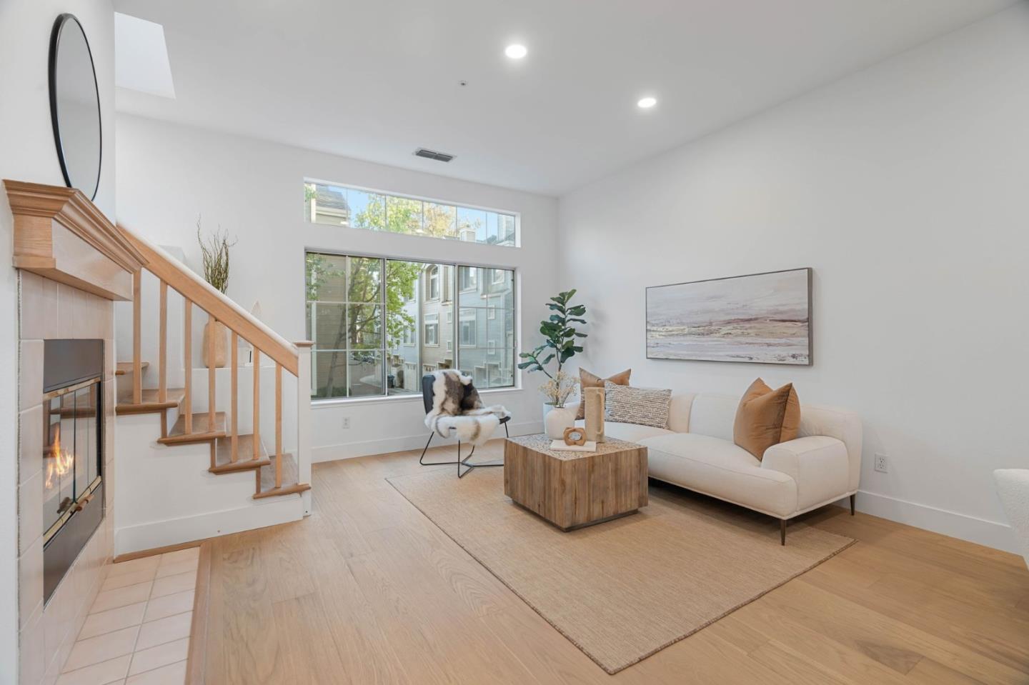 979 Pinto Palm TER 30