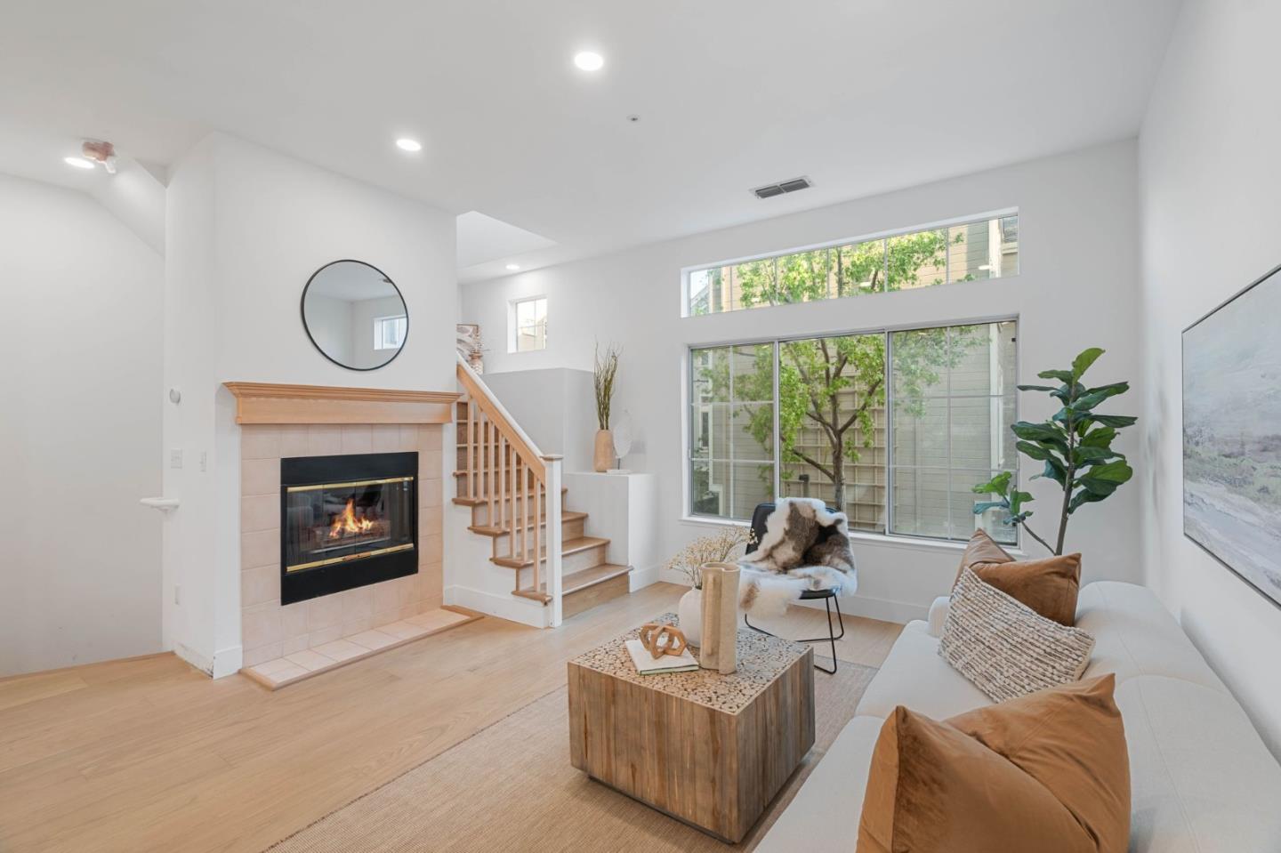 979 Pinto Palm TER 30