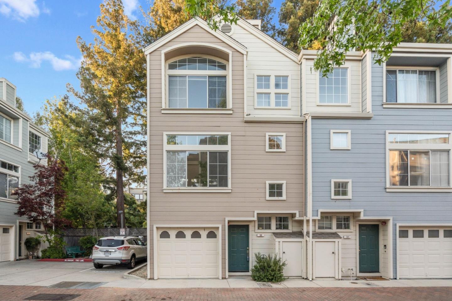 979 Pinto Palm TER 30