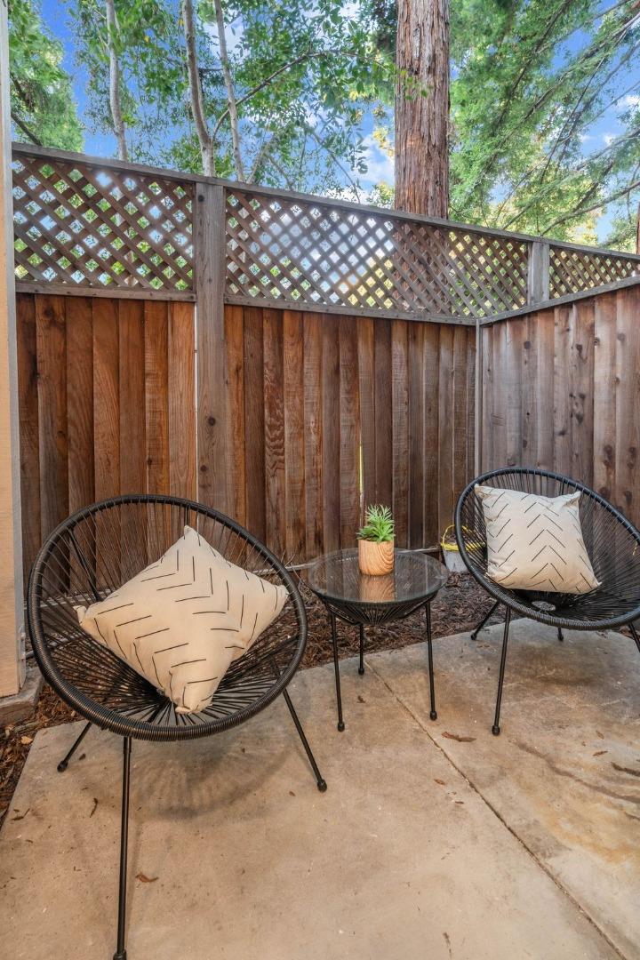 979 Pinto Palm TER 30