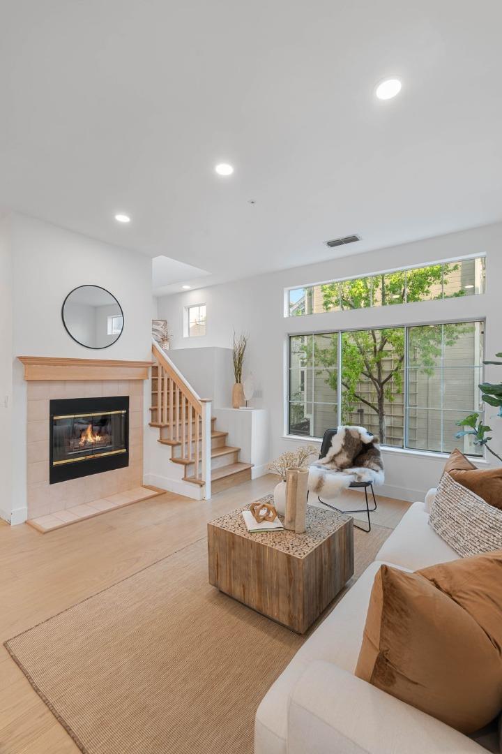 979 Pinto Palm TER 30