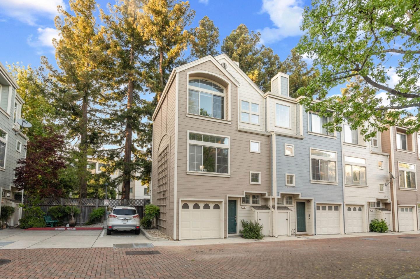 979 Pinto Palm TER 30