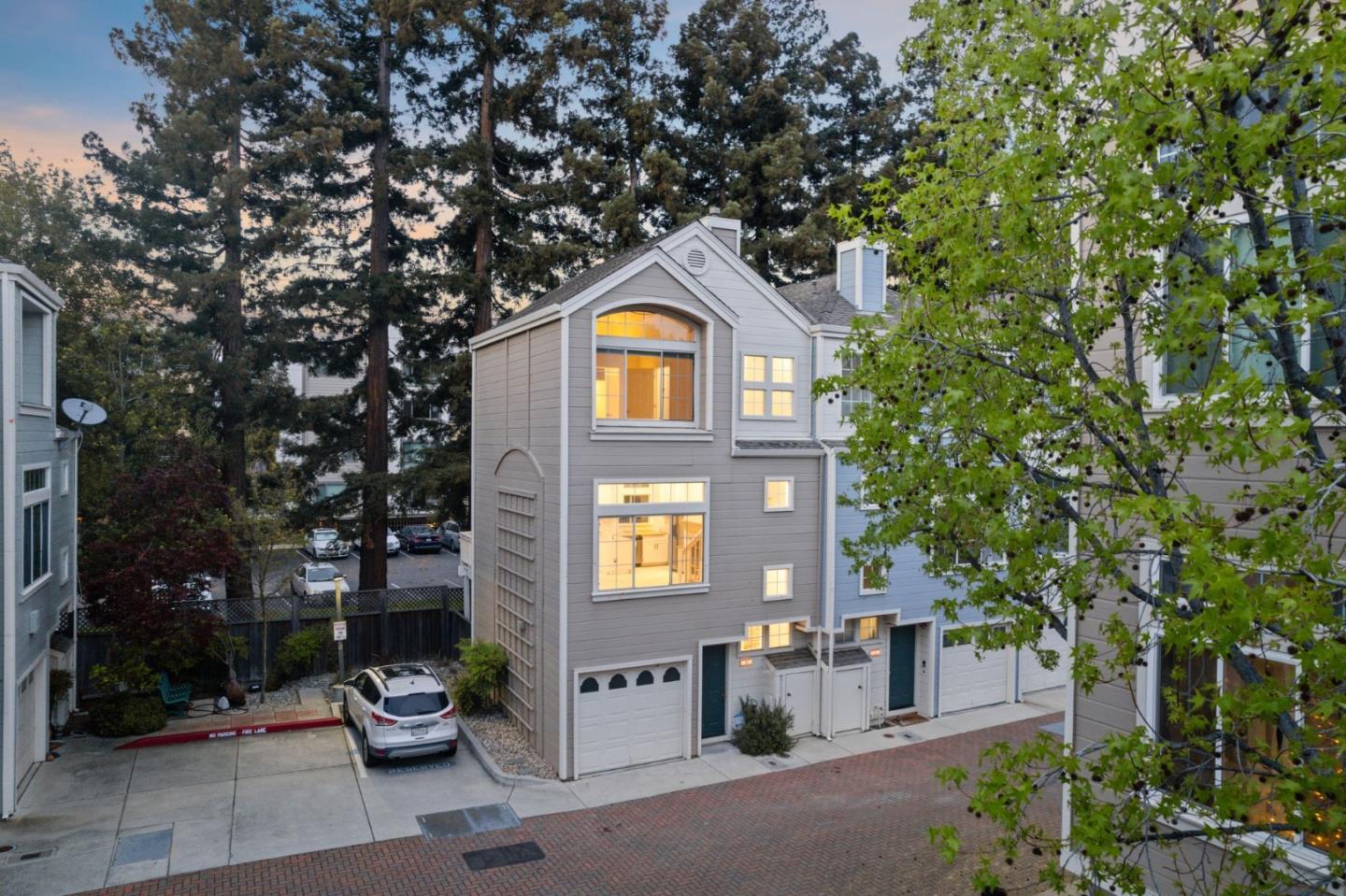 979 Pinto Palm TER 30