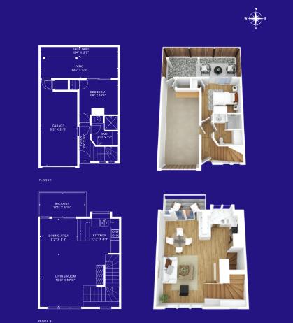 979 Pinto Palm TER 30