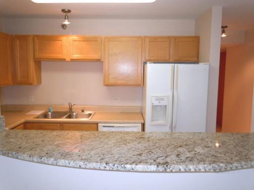 345 N LaSalle Street Unit: 209