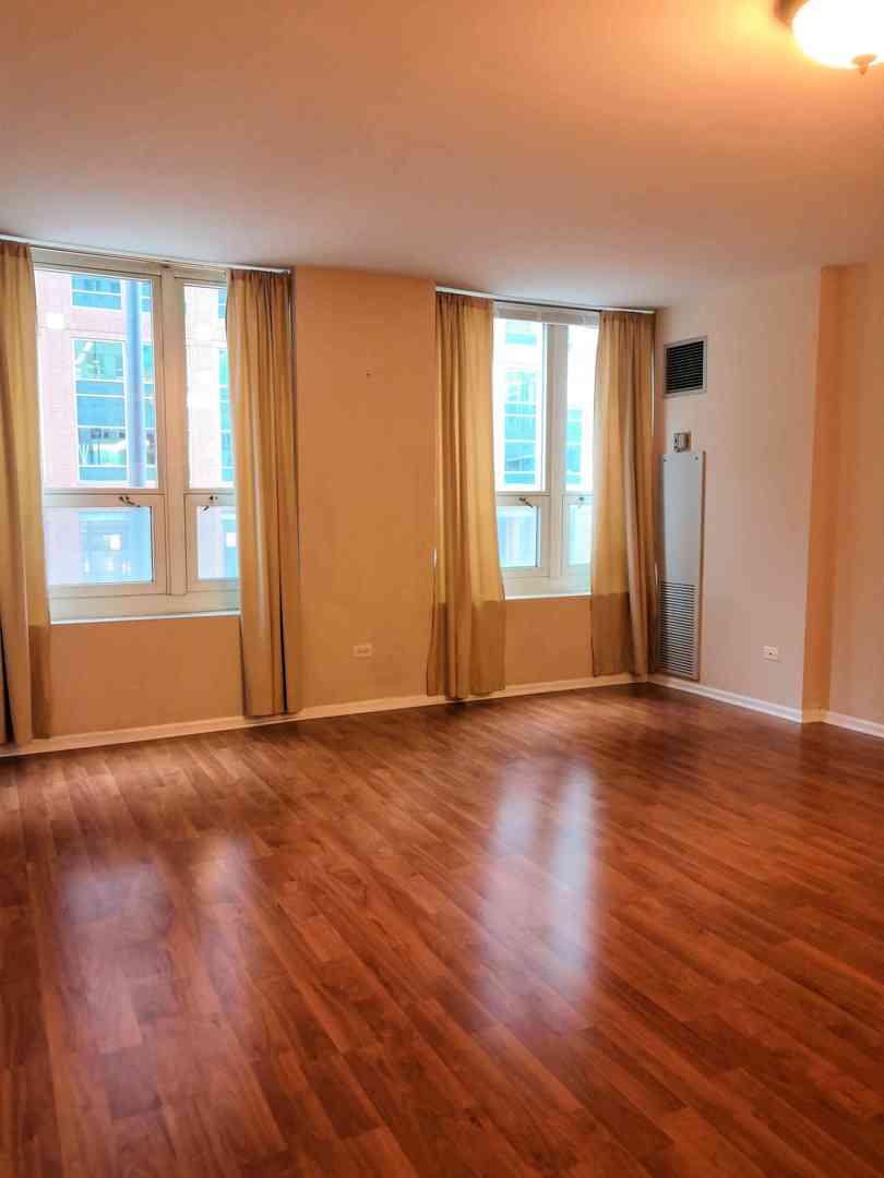 345 N LaSalle Street Unit: 209