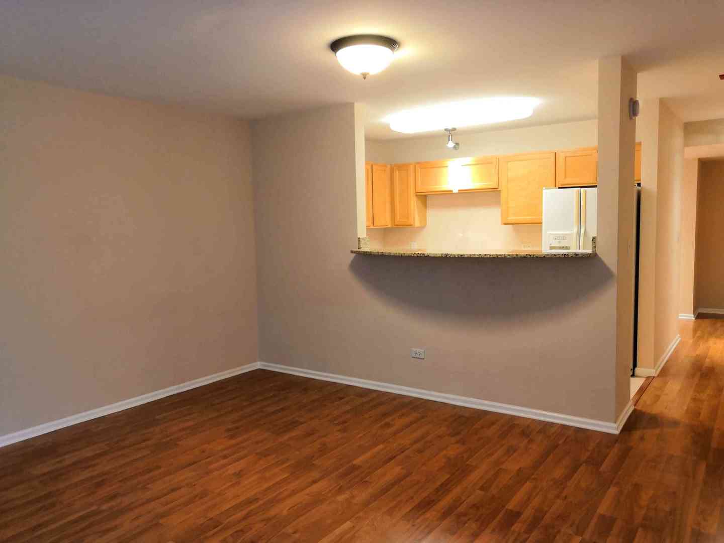 345 N LaSalle Street Unit: 209