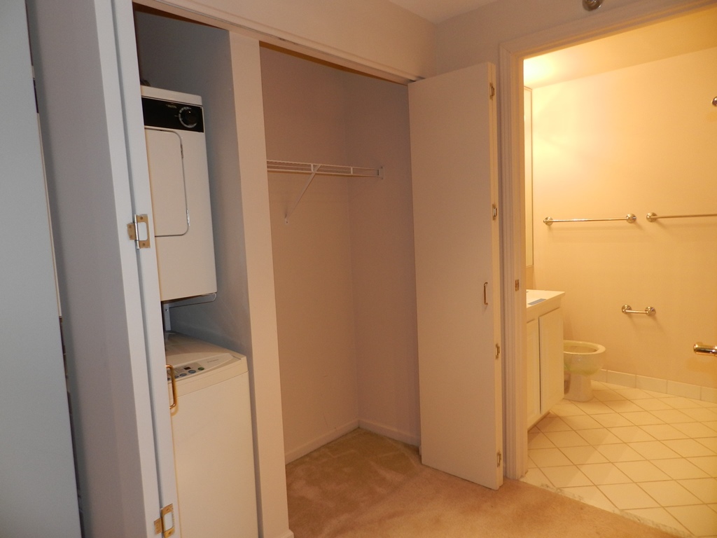 345 N LaSalle Street Unit: 209