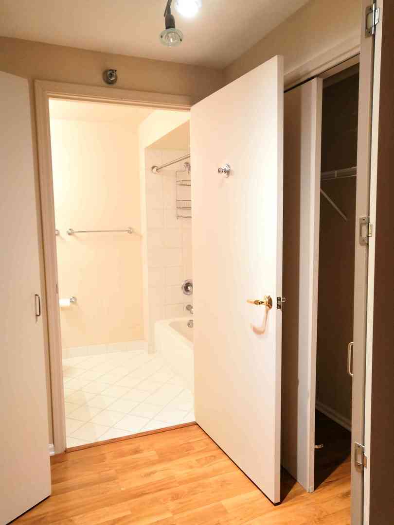 345 N LaSalle Street Unit: 209