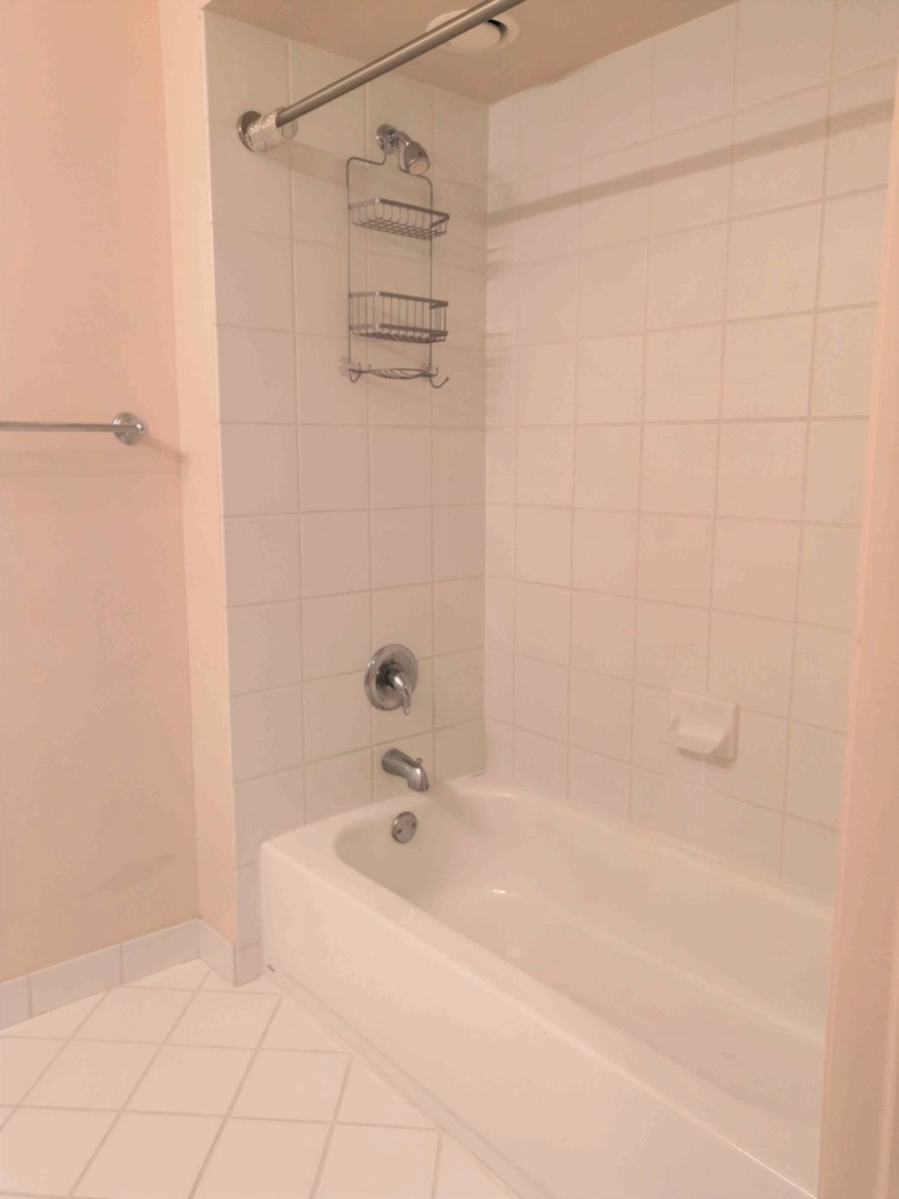 345 N LaSalle Street Unit: 209