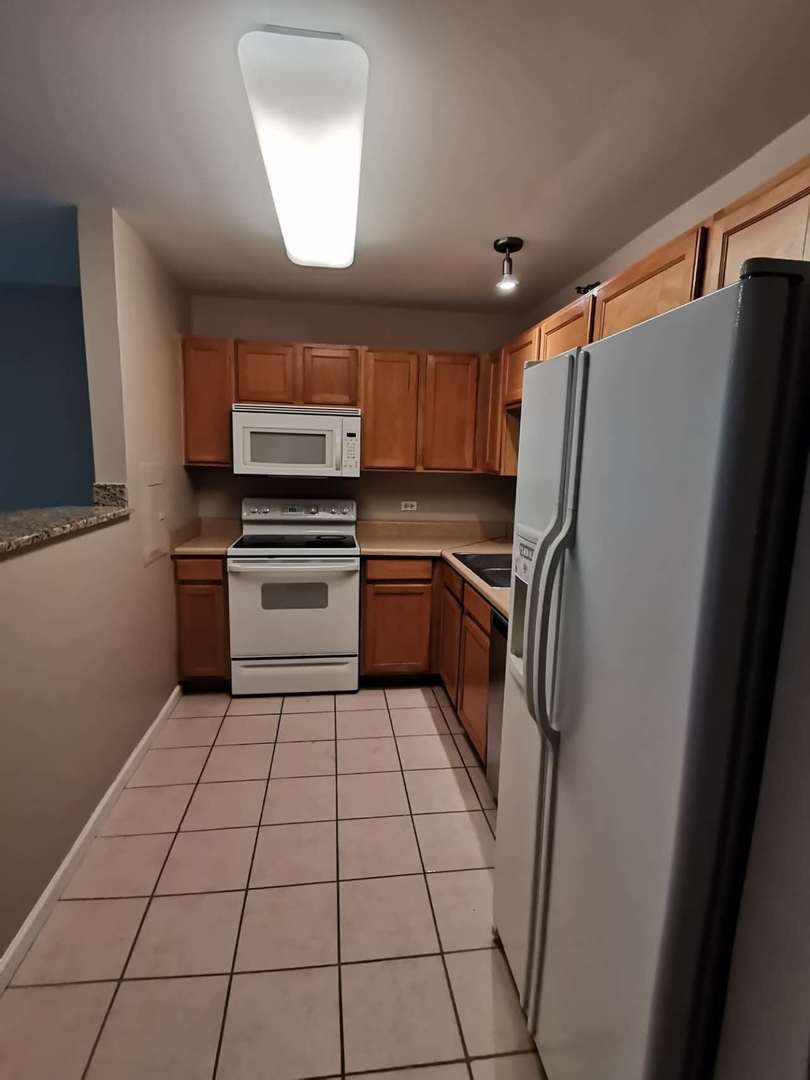345 N LaSalle Street Unit: 209