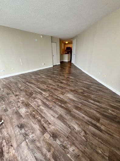 545 N Dearborn Street Unit: W2905
