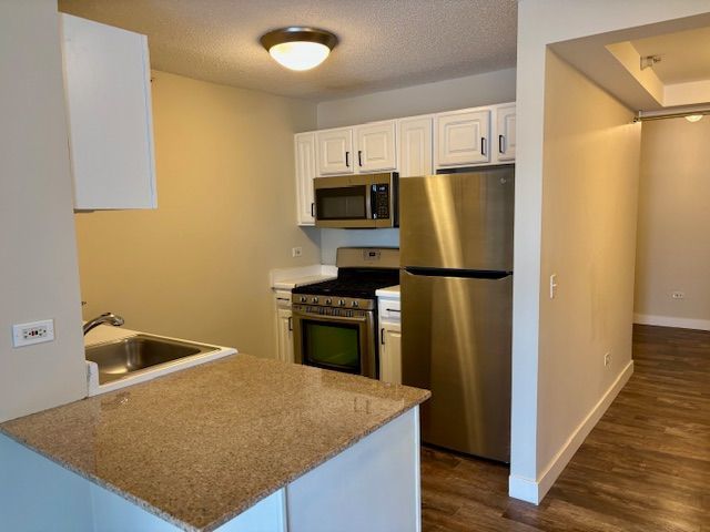 545 N Dearborn Street Unit: W2905