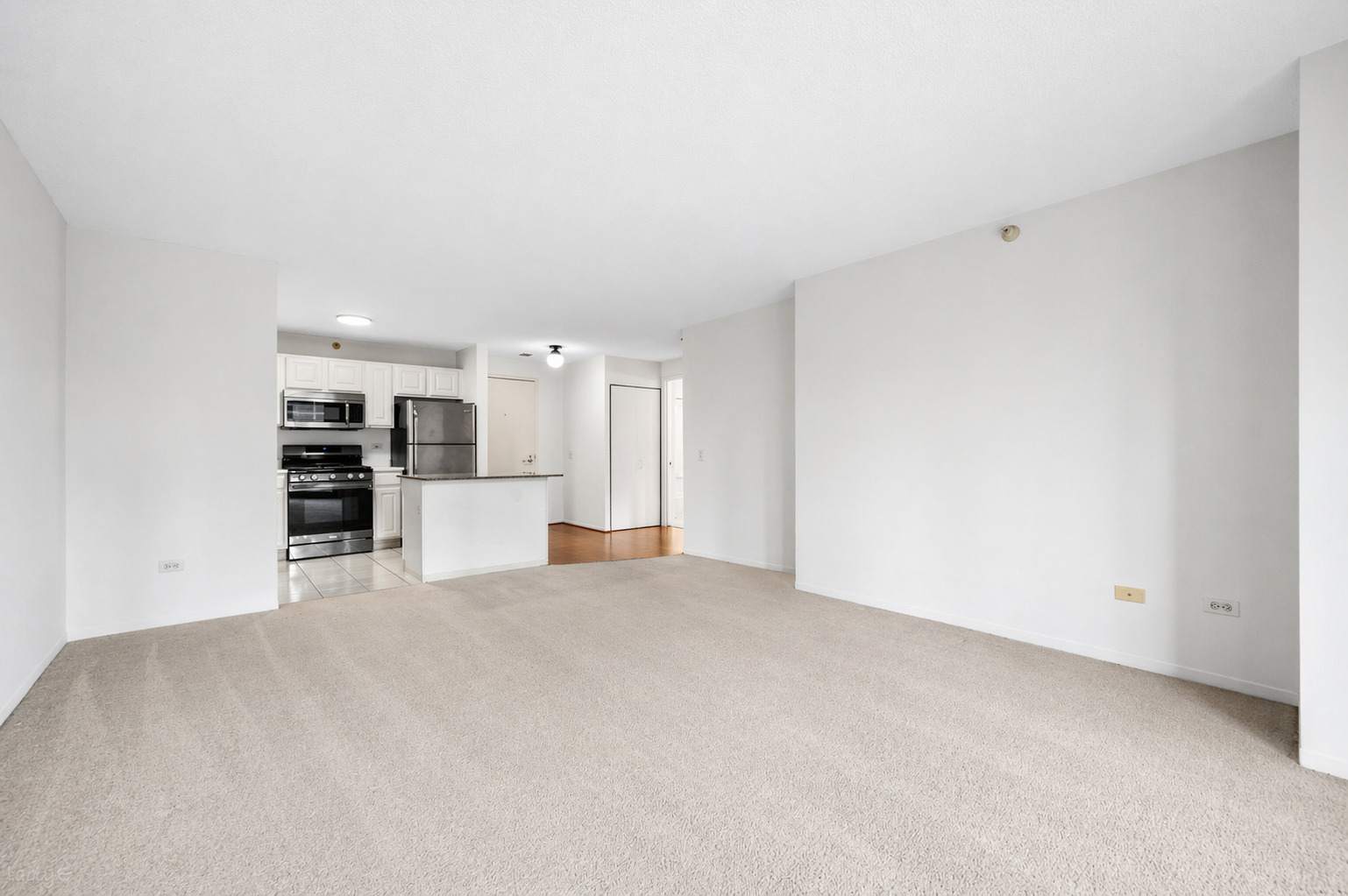545 N Dearborn Street Unit: 1309
