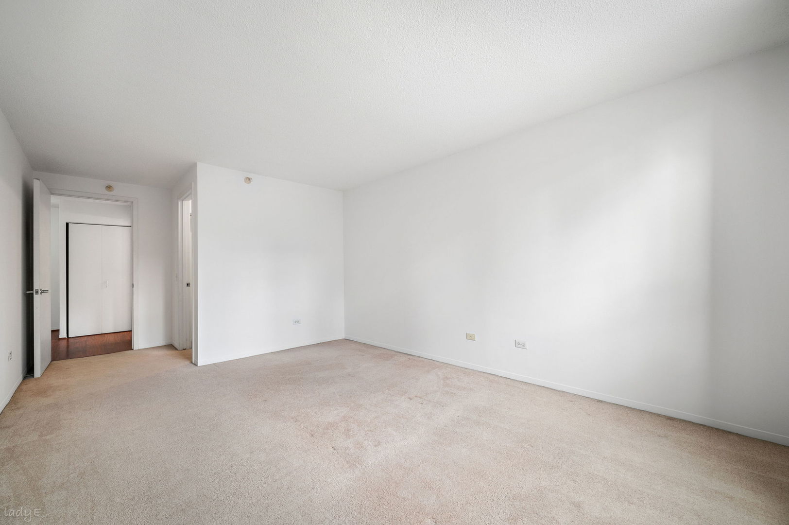 545 N Dearborn Street Unit: 1309