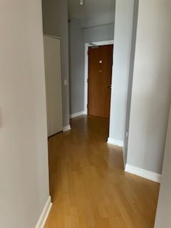 1335 S PRAIRIE Avenue Unit: 808