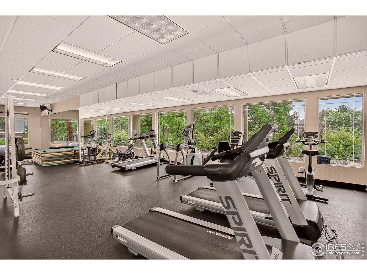 850 W Moorhead Cir 3D